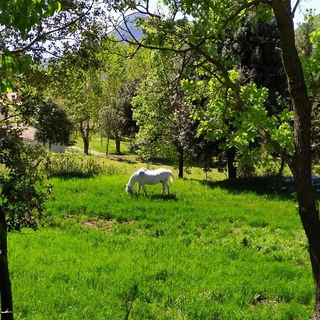 Agriturismo Colloreto Morano Calabro Bagian luar foto