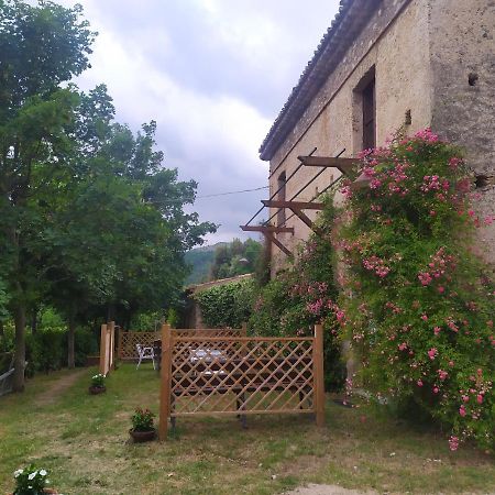 Agriturismo Colloreto Morano Calabro Bagian luar foto