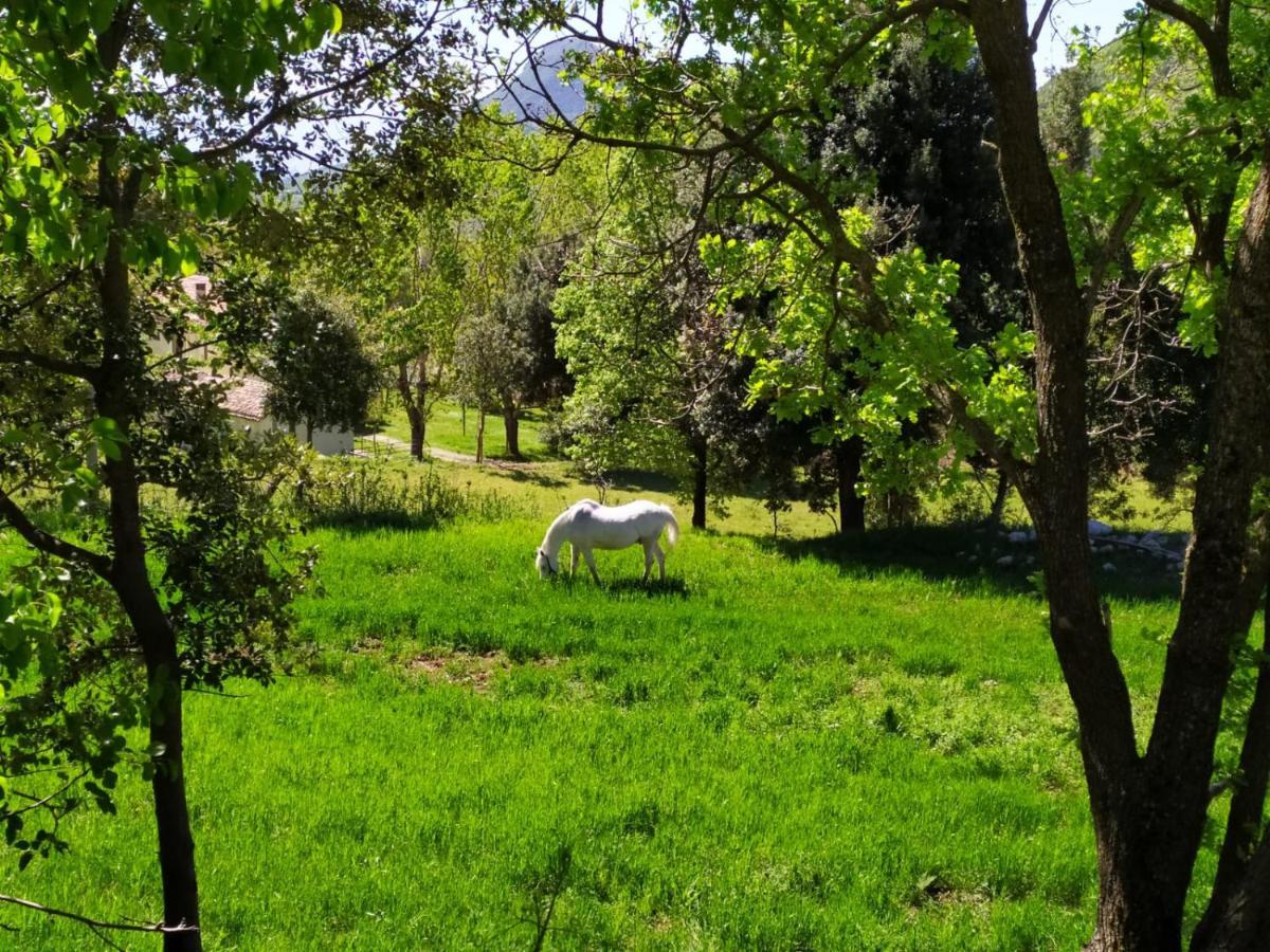 Agriturismo Colloreto Morano Calabro Bagian luar foto