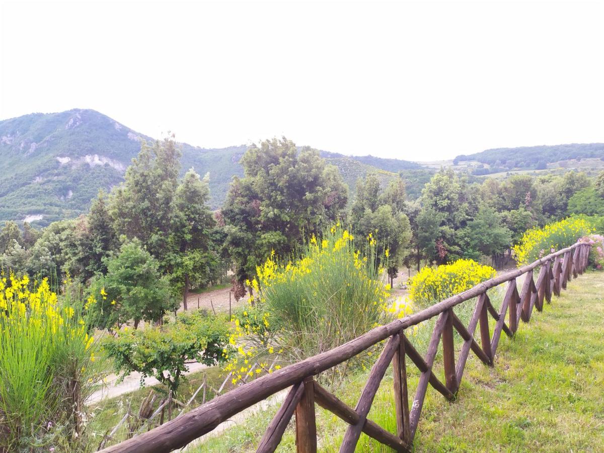 Agriturismo Colloreto Morano Calabro Bagian luar foto
